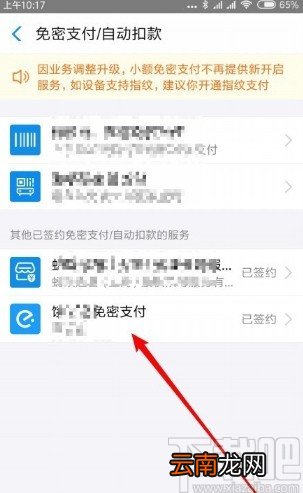 支付宝APP关闭免密支付功能的方法