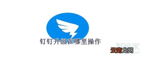 钉钉升级在哪里操作