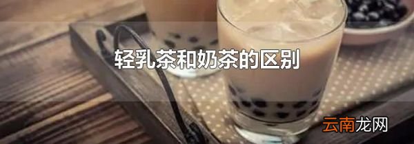 轻乳茶和奶茶的区别