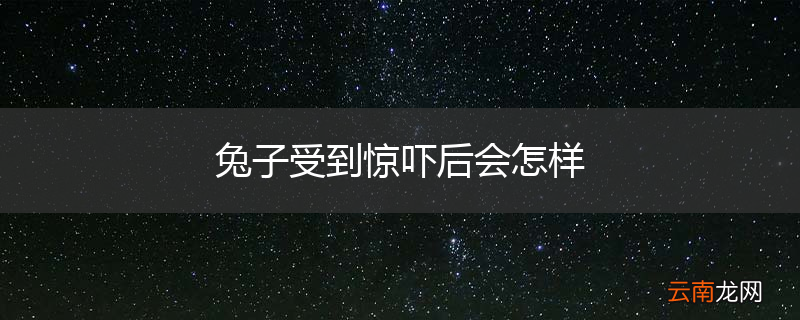 兔子受到惊吓后会怎样
