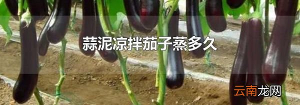 蒜泥凉拌茄子蒸多久