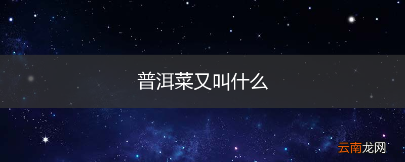 普洱菜又叫什么