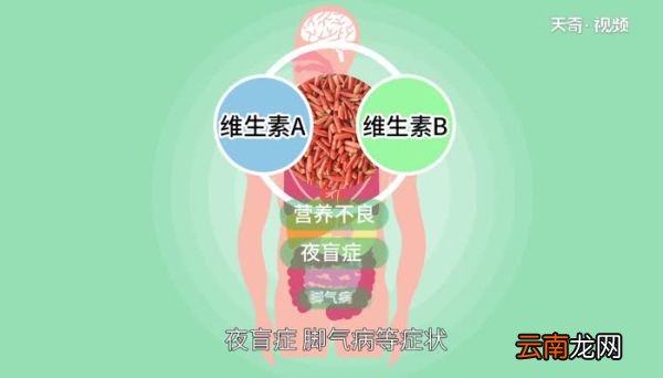 红米的功效与作用 红米的营养价值