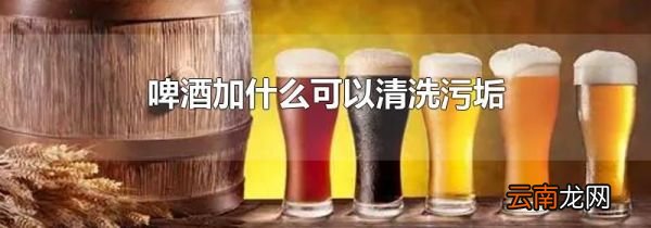 啤酒加什么可以清洗污垢