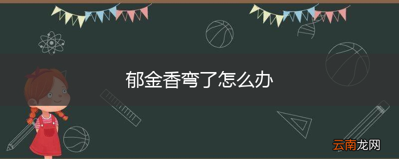 郁金香弯了怎么办
