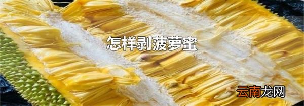 怎样剥菠萝蜜