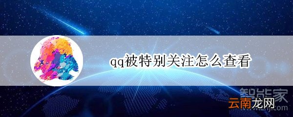 qq被特别关注怎么查看