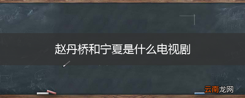 赵丹桥和宁夏是什么电视剧