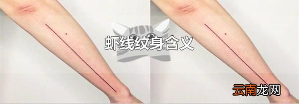 虾线纹身含义