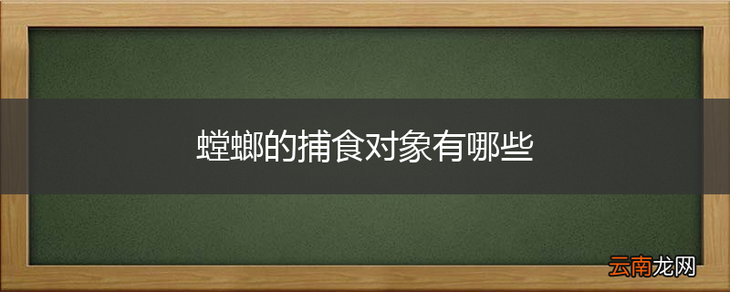 螳螂的捕食对象有哪些