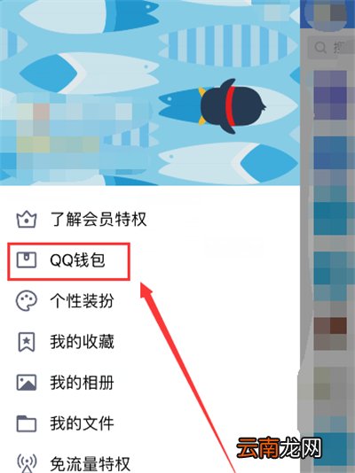 qq钱包注销后qq账号会不会消失