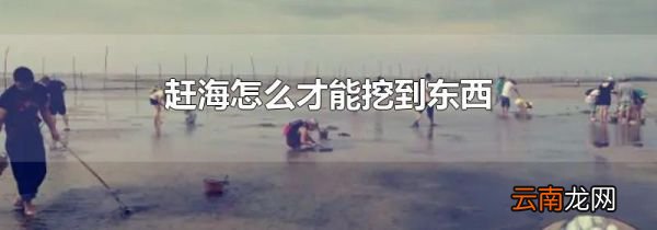 赶海怎么才能挖到东西