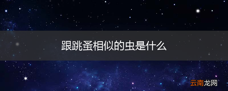 跟跳蚤相似的虫是什么