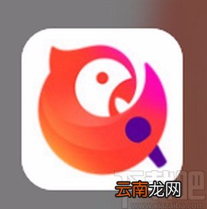 全民K歌APP开启消息免打扰的方法