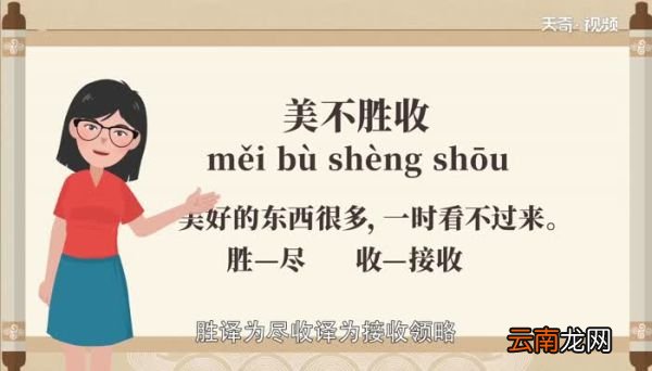 美不胜数是什么意思 美不胜数的意思