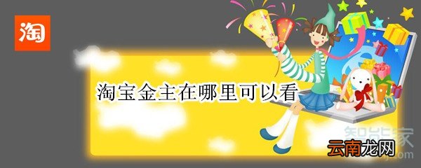 淘宝金主在哪里可以看