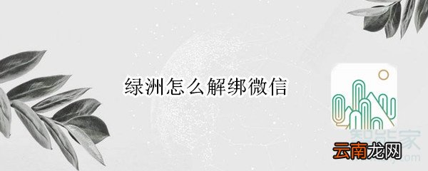 绿洲怎么解绑微信