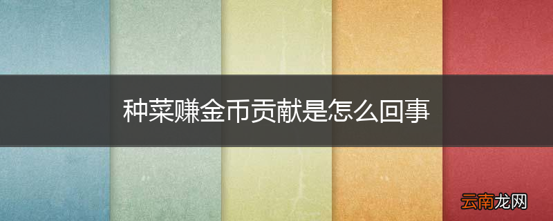 种菜赚金币贡献是怎么回事