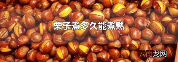 栗子煮多久能煮熟