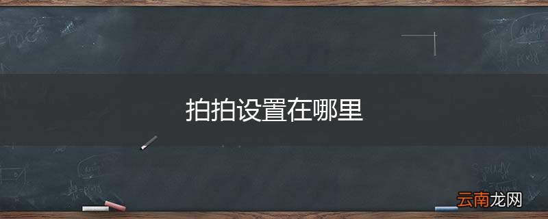 拍拍设置在哪里