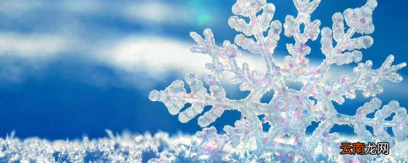 雪里面有什么成分