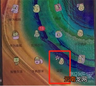 怎么查询mate30真伪