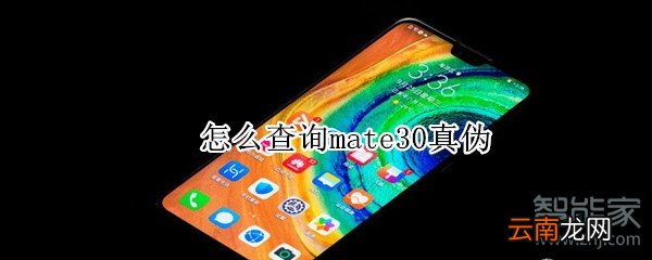 怎么查询mate30真伪