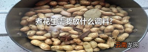煮花生需要放什么调料?