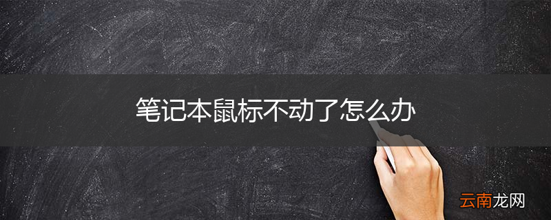 笔记本鼠标不动了怎么办