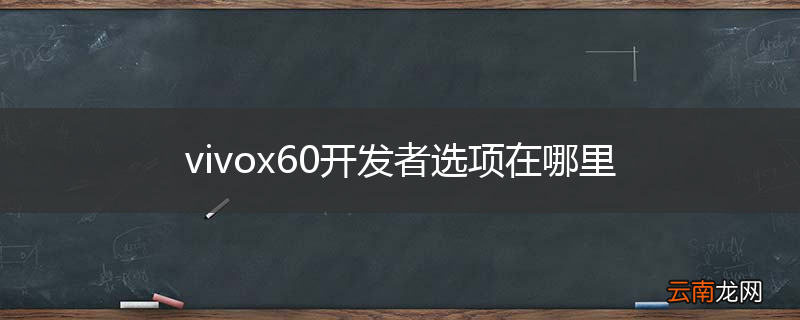vivox60开发者选项在哪里