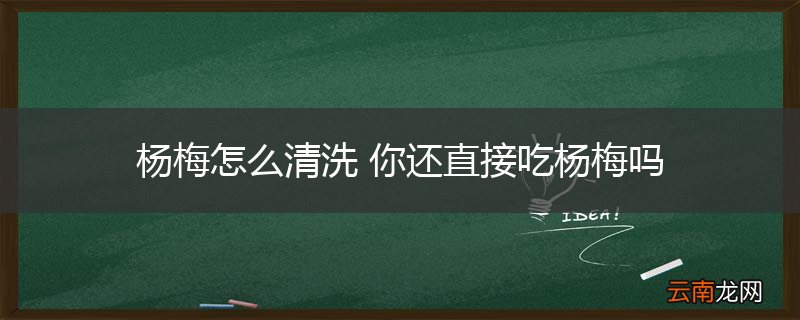 杨梅怎么清洗 你还直接吃杨梅吗