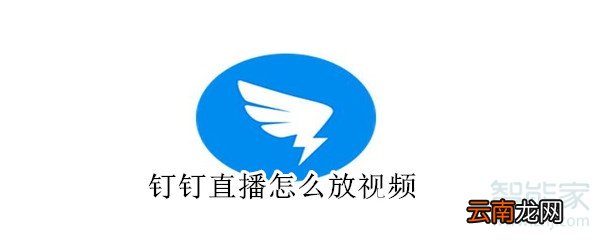 钉钉直播怎么放视频
