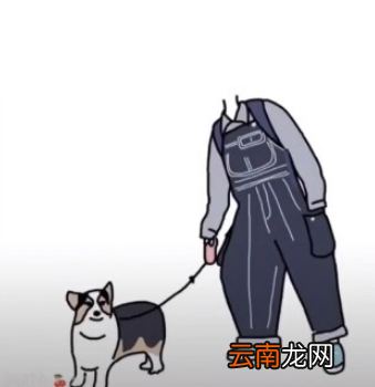 抖音一个人牵狗图片怎么制作?一个人牵狗素材图片制作方法教程