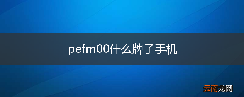 pefm00什么牌子手机