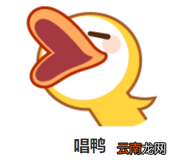 唱鸭app怎么使用?唱鸭app弹唱使用方法介绍