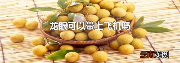 龙眼可以带上飞机吗