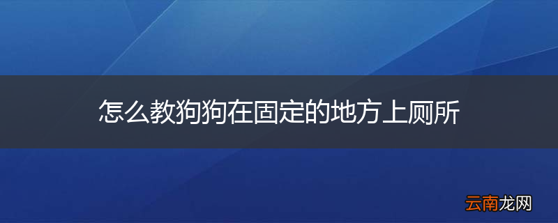 怎么教狗狗在固定的地方上厕所