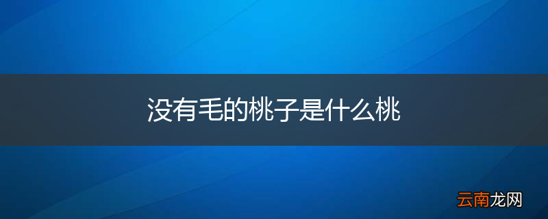 没有毛的桃子是什么桃