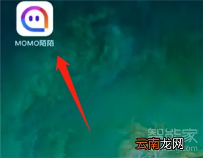 新版陌陌怎么换头像
