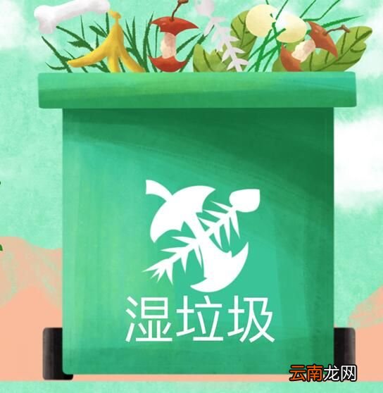 瓜子壳属于干垃圾还是湿垃圾 瓜子壳是什么垃圾