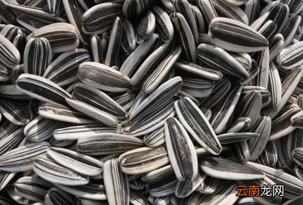 瓜子壳属于干垃圾还是湿垃圾 瓜子壳是什么垃圾