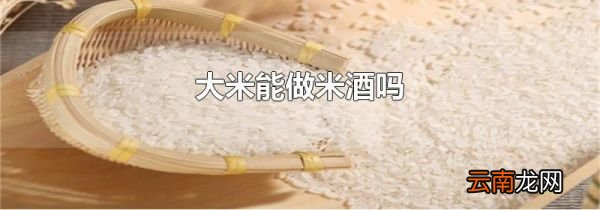 大米能做米酒吗