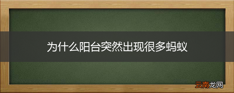 为什么阳台突然出现很多蚂蚁