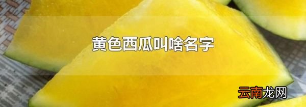 黄色西瓜叫啥名字
