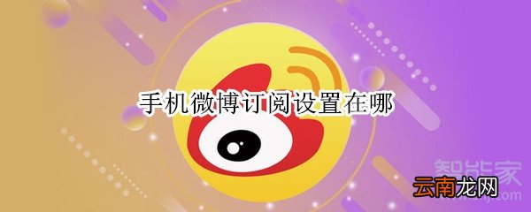手机微博订阅设置在哪