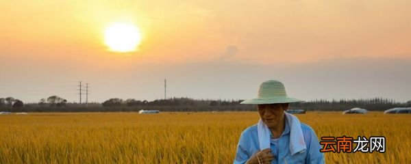 关于乡村人们劳动繁忙的古诗 关于农民繁忙的古诗