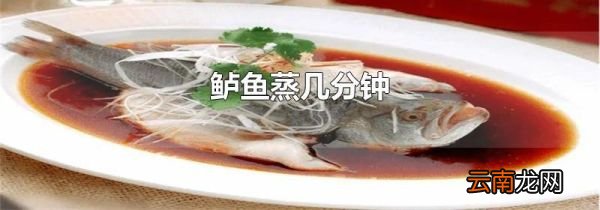 鲈鱼蒸几分钟