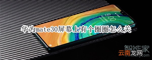 华为mate30屏幕上有个圈圈怎么关