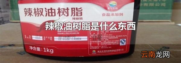 辣椒油树脂是什么东西