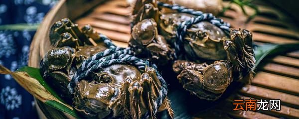 刚死的螃蟹能吃吗 螃蟹死了不能吃的具体原因